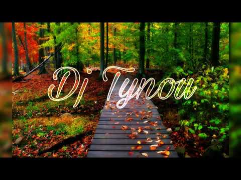 ♪♪ Tynou - BiBi x Gas dem (zouk remake 2018) SL HNA BK