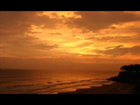 Miredys Peguero & Paul Bushnell - Dragonfly + Lyrics