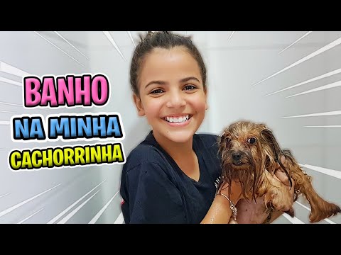 MINHA ROTINA DA NOITE - BANHO NA MINHA YORKSHIRE