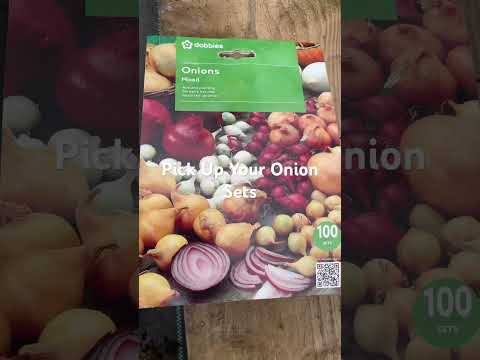 , title : 'How to Grow Onion Sets in Autumn? 🧅 #onion #onionseeds #onions #autumn #autumnonions'