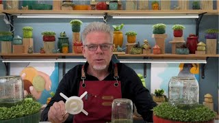 David Brandt's Cement Creations and Microgreens