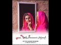 Zamano Asan Khe Jalae Kando Chha Fozia Soomro Status