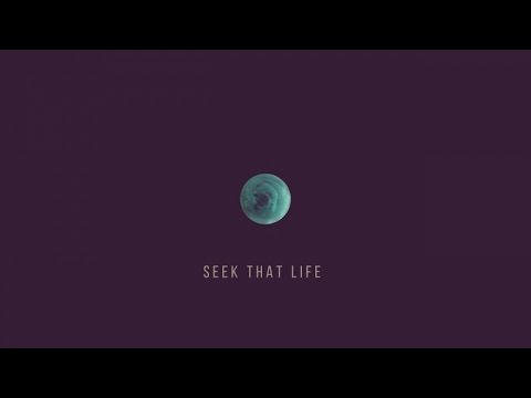 Pierre Ravan & Haldo feat. Divasonic - Seek That Life (Official Video - HD)