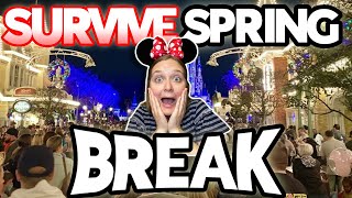 How to SURVIVE Spring Break at Disney World (Ways to Beat the Spring Break Crowds 2022)