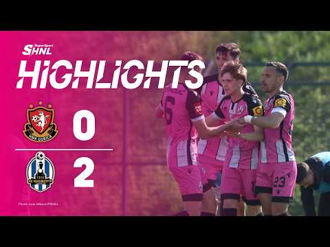 bg-highlight