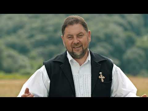 Marius Ciprian Pop & Orchestra Romanasul - Dor și o inimioara || official video ||