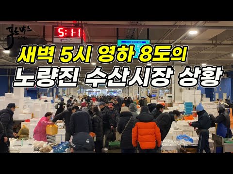 새벽 5시 주말에 잠안자고 사람들이 몰린 이유...(feat. 나만 모르면 손해)