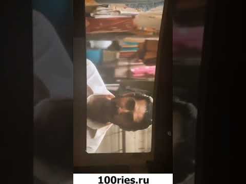 Лобода Инстаграм Сторис 02 июня 2019