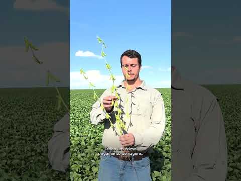 Excelência em cada hectare DM70IX70RSF I2X #shorts