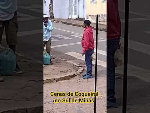 Cenas de COQUEIRAL no Sul de Minas Gerais