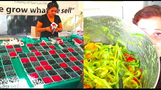 What I Ate Today + Hiking + Farmers Market + Food Haul | 40BelowFruity