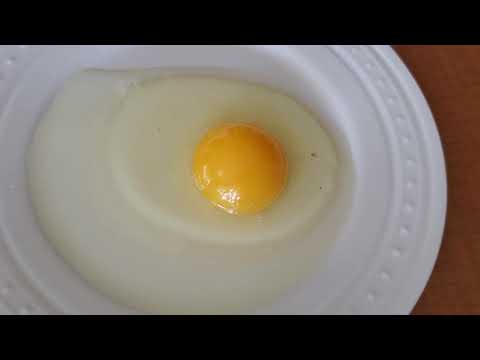 Finn and the Catalyst Comet