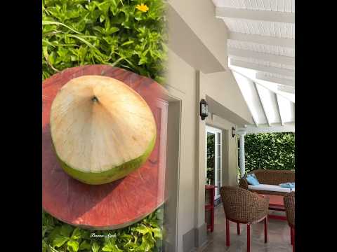 Por favor comparte con tus amigos #pov #herramientas #sketch #gracioso #actuación #historia