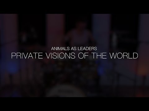 Louis Sellers - Animals As Leaders - Private Visions of the World Drum Cover