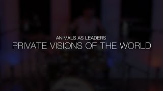 Louis Sellers - Animals As Leaders - Private Visions of the World Drum Cover