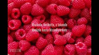 Grouplove - Raspberry (Türkçe Çeviri)