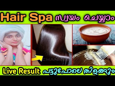 Hair Spa at Home in Malayalam | പട്ടുപോലെ തിളങ്ങുന്ന മുടിക്ക് | Complete Hair spa for hair growth