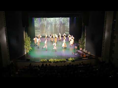 VPDK "Čiekurs" - Lepna, lepna tā pļaviņa