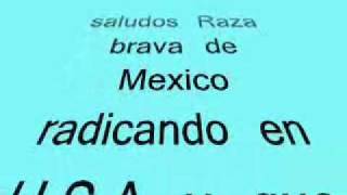 Los calzones de la Dama - Alacranes Musical