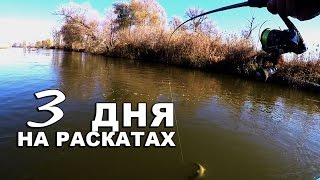 Ссылка