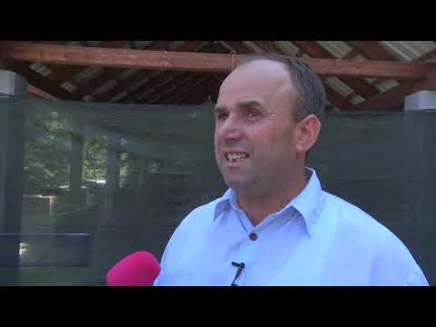 Tešanjska hronika 761 - Otvoren 13. memorijalni malonogometni turnir "Hajrudin Hajdić Hajro"