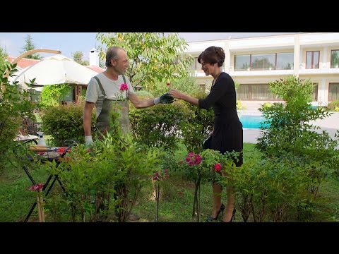 Poyraz Karayel 27. Bölüm - Bahri Baba ve Despina'nın ilk karşılaşması