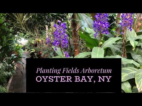 Planting Fields Arboretum