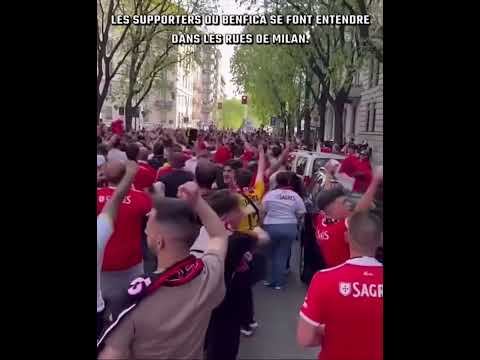 Les supporters de benfica donne de la voix dans les rues du milan #benfica #milan #supporters #ldc