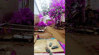 Download lagu 1 Januari 2026 mp3