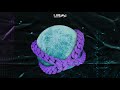 Mulatooh - Paca-(feat.Ivtrapstar, Kev) Official Audio