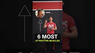 The 6 Most Attractive Muscles on Men (ACCORDING TO WOMEN!)