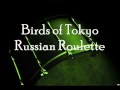 Birds of Tokyo - Russian Roulette Live (High ...