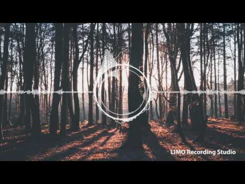 Just Wanna Run (Ahlstrom Remix) -  Sebastian Forslund feat. Dinah Smith, Niklas Ahlström