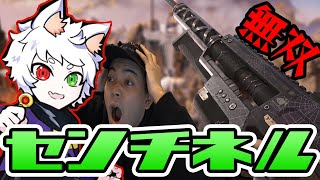 Rasのセンチネルがヤバすぎた【Ras/切り抜き】【APEX/ボドカ/なるせ】