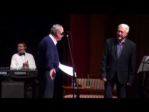 Radoslav Ponjavic Dzoni - Koncert svom gradu