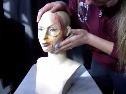 Male Mannequins