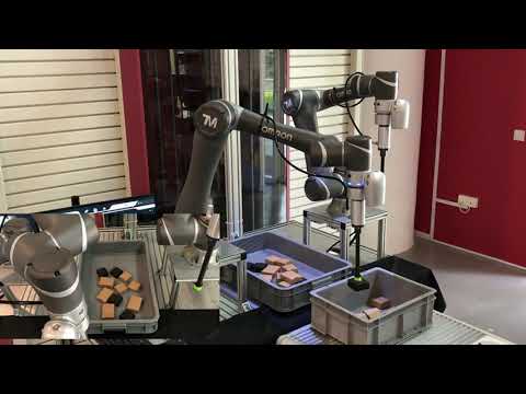 Unknown Picking by Double TM Cobots TM5-900 with 3D Vision