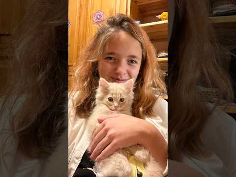 МЫ 5 ЛЕТ НАЗАД😱🥹КВИНКА ПОВТОРИЛА СТАРЫЕ ФОТО С ПИТОМЦАМИ🐶🐱💖(до конца) #роблокс #игры #смешное