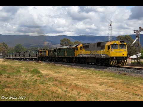 GML10, 8044, 872 and 864 at Avoca and Dunolly on QUBE's 7961V empty Dunolly grain- 4/11/19