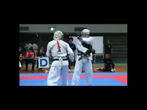 Best Nippon Kempo Spain Federico Alba