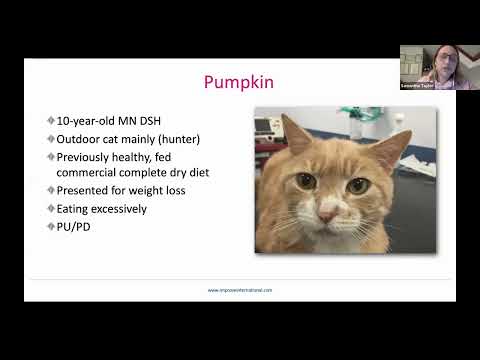 Feline Endocrine Disease, with Samantha Taylor, BVetMed(Hons) CertSAM DipECVIM-CA MANZCVS FRCVS