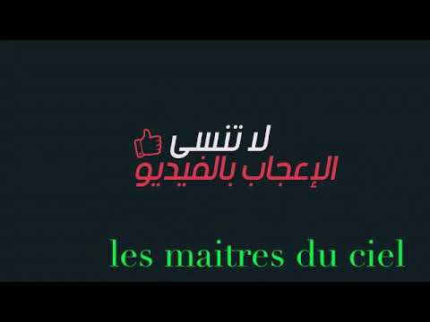 orientation du pigeon voyageur