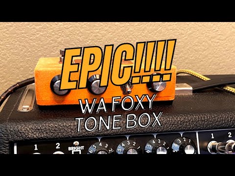 “Warm Audio Foxy Tone Box: Vintage Fuzz Reimagined!” | Fox and Robyn Recording #warmaudio