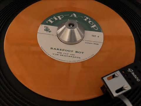 sir jay and the skatanauts - barefoot boy (tip-a-top)