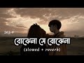 Bojhena Shey Bojhena Lyrics বোঝেনা সে বোঝেনা Arijit Singh Slowed Reverb 