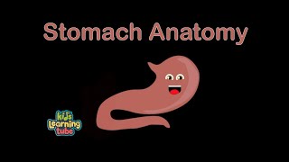 Stomach Song for Kids/The Human Body for Kids/Learn about the Human Body for Children