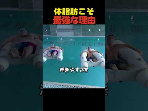 体脂肪こそ最強な理由 #検証