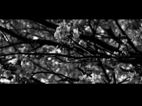 Shing02 "誉 / Homare"  x  Andrew J & Kaltenecker "Come On"