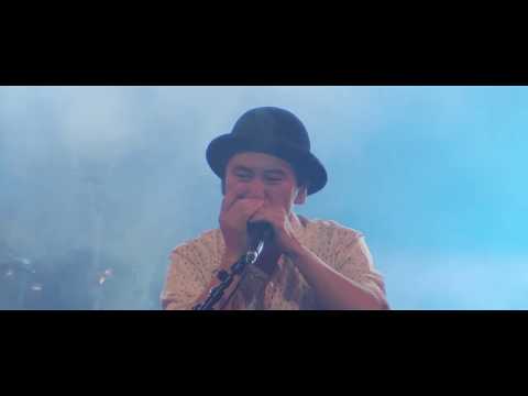 FESTIVAL INTERCELTIQUE DE LORIENT 2018 Dance of Quadra HARMONICA CREAMS
