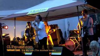 Temperance League Live at the Plaza-Midwood Pig Pickin&#39; 2011 - It&#39;s my Life (The Animals cover)